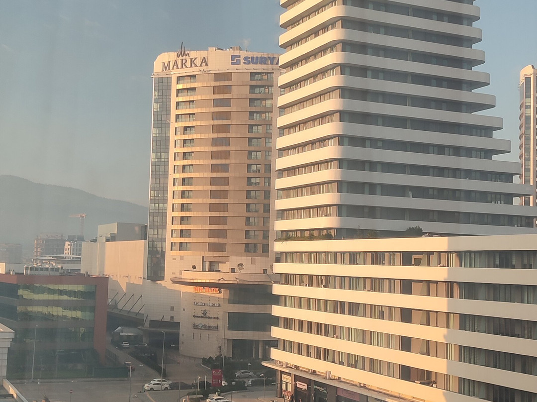 Ramada by Wyndham Bursa Nilufer主图