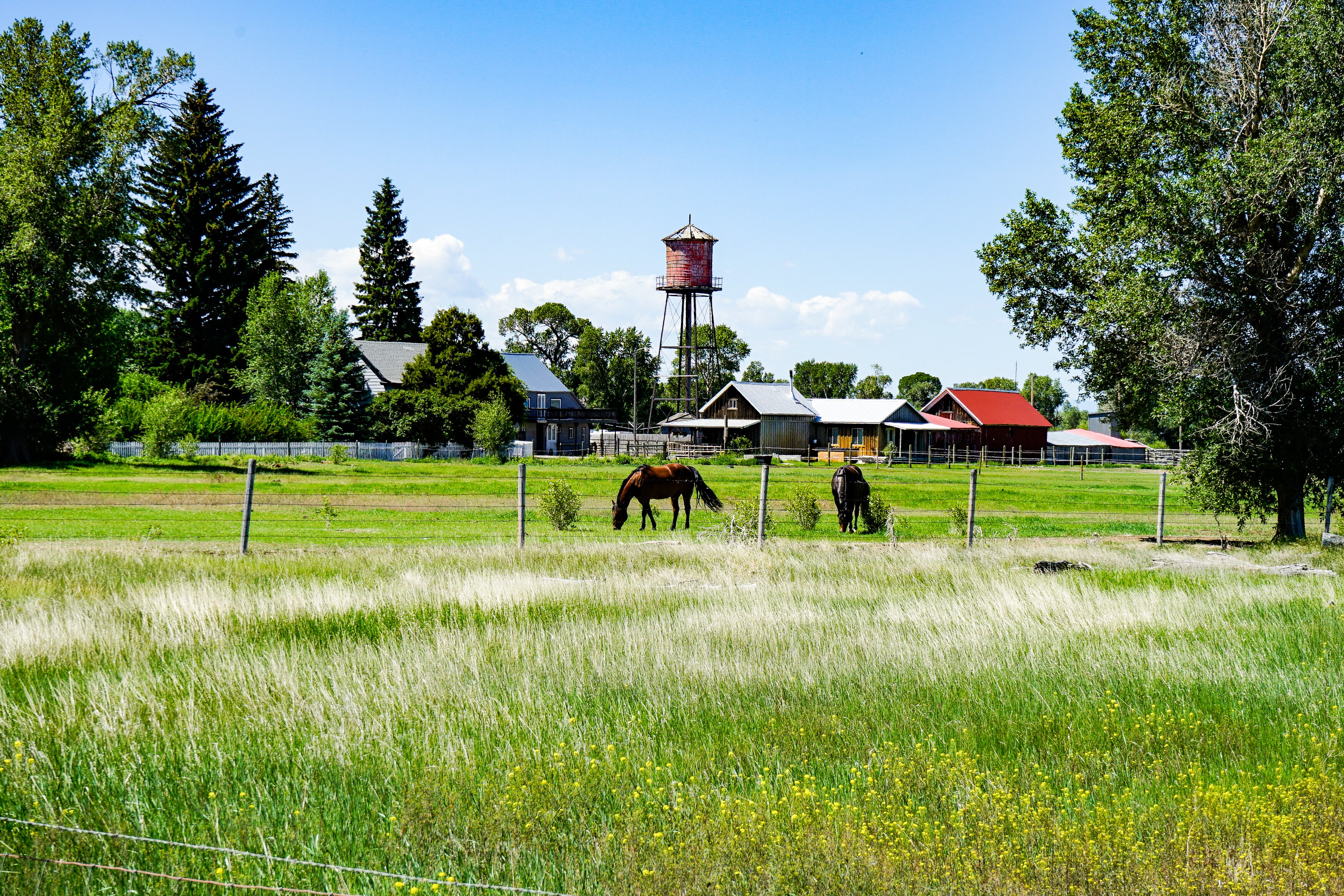 High Tower Ranch-浴室