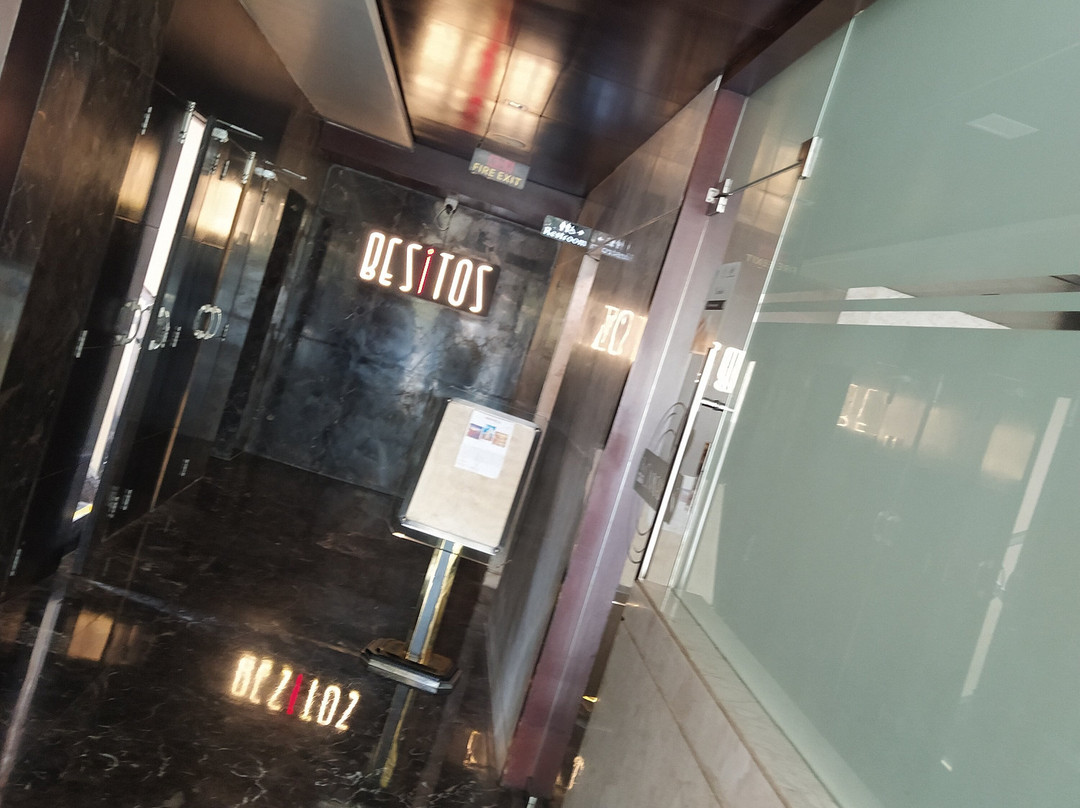 Bravia Hotel by Satguru Group主图