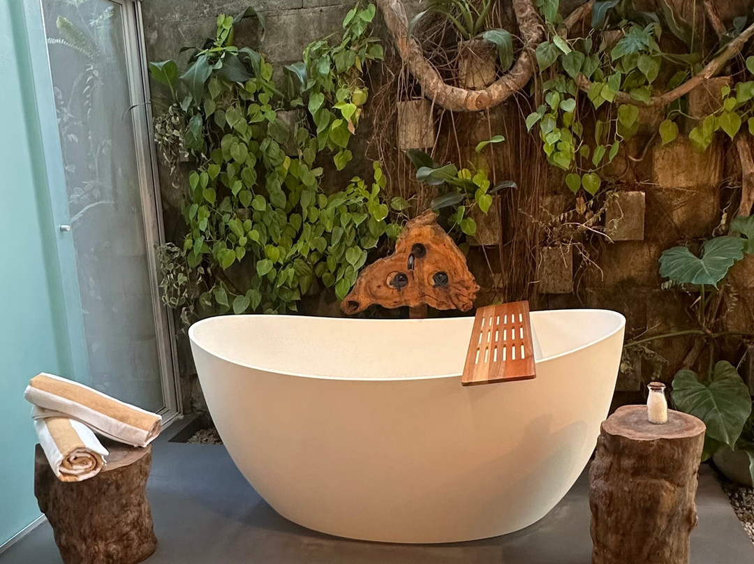 Villa Sapê Pousada主图