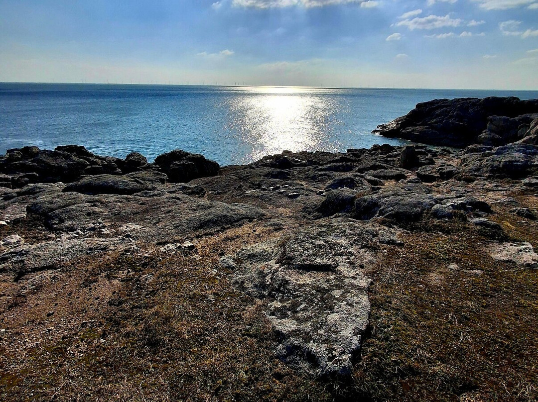 La Cote Sauvage du Croisic景点图片