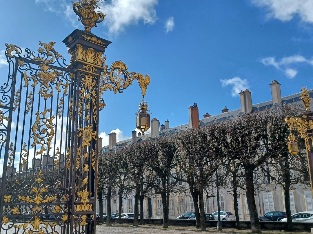 Place de la Carrière景点图片