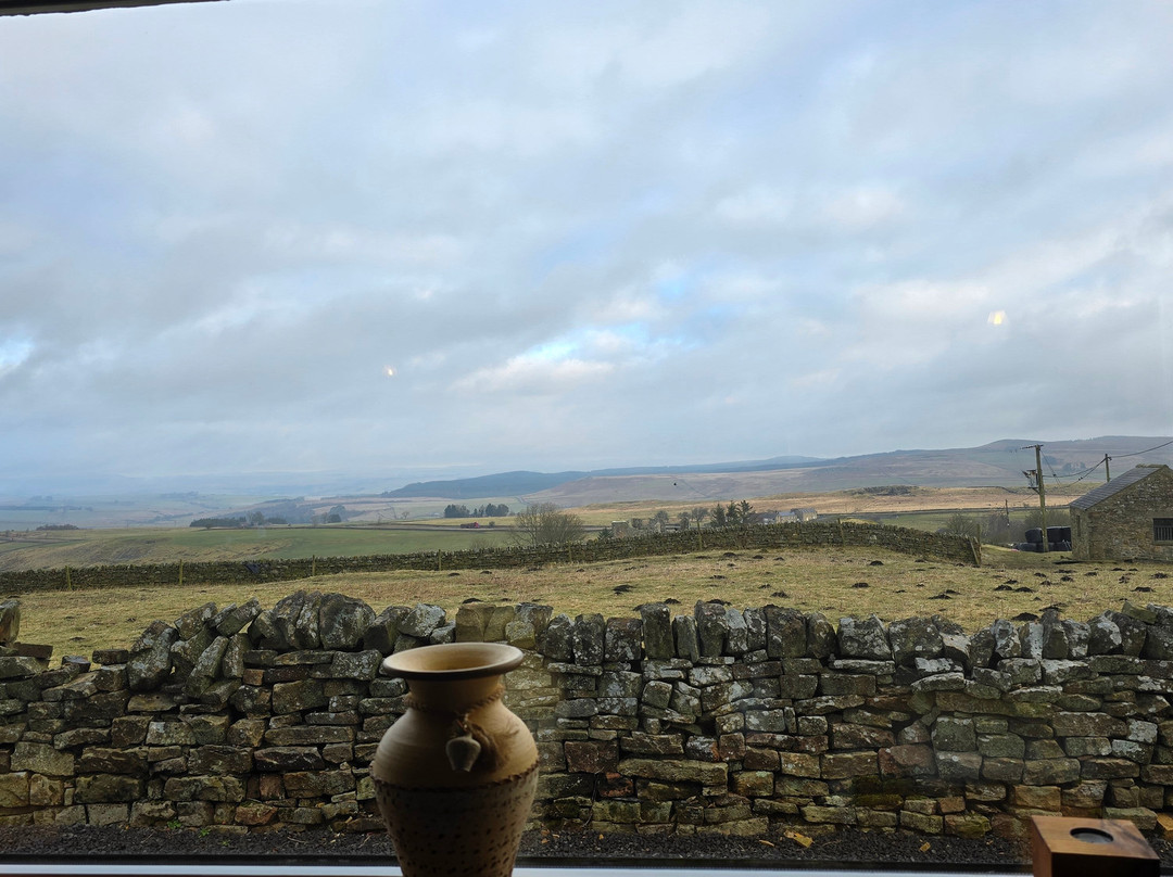 The Gun at Ridsdale主图