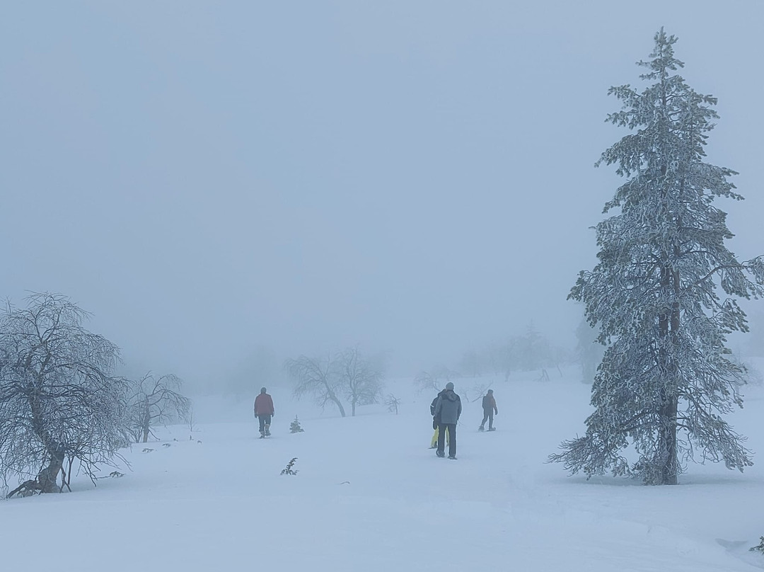 Wildmaker Lapland-Muonio必去景点