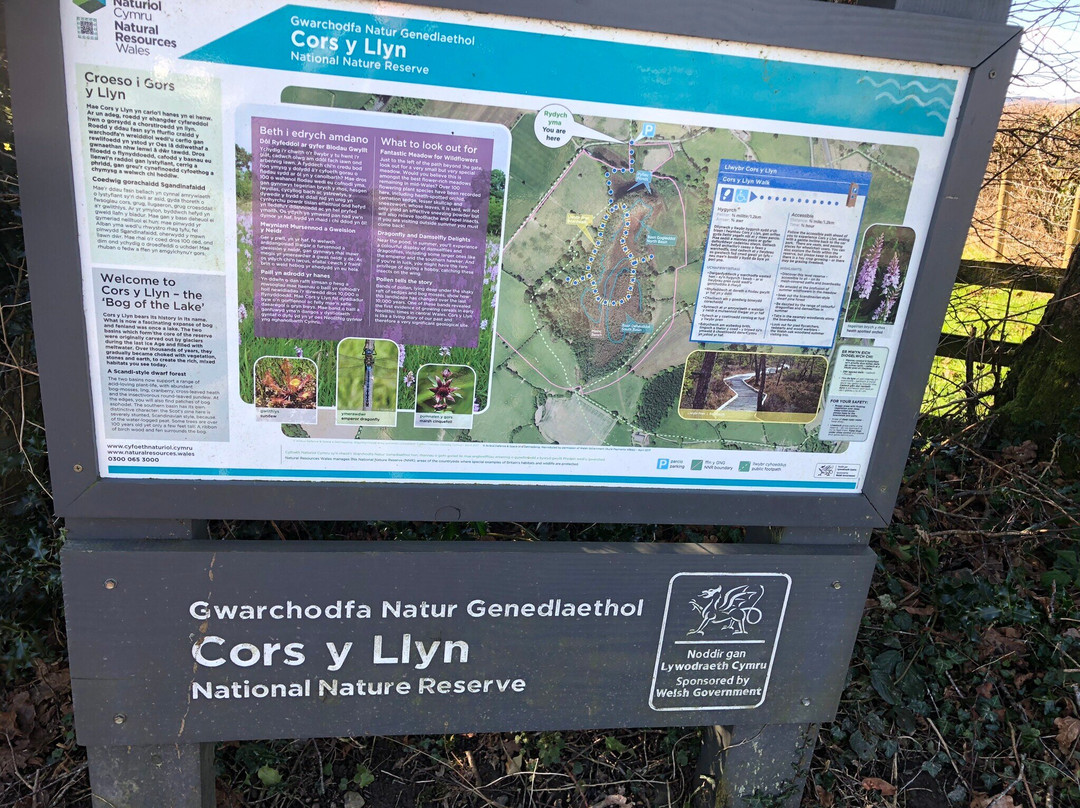 Cors Y Llyn  National Nature Reserve景点图片