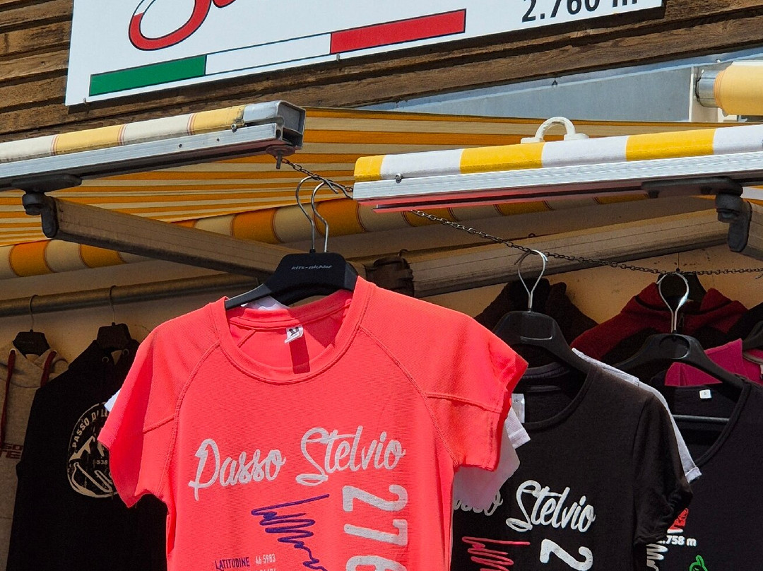 Passo dello Stelvio景点图片