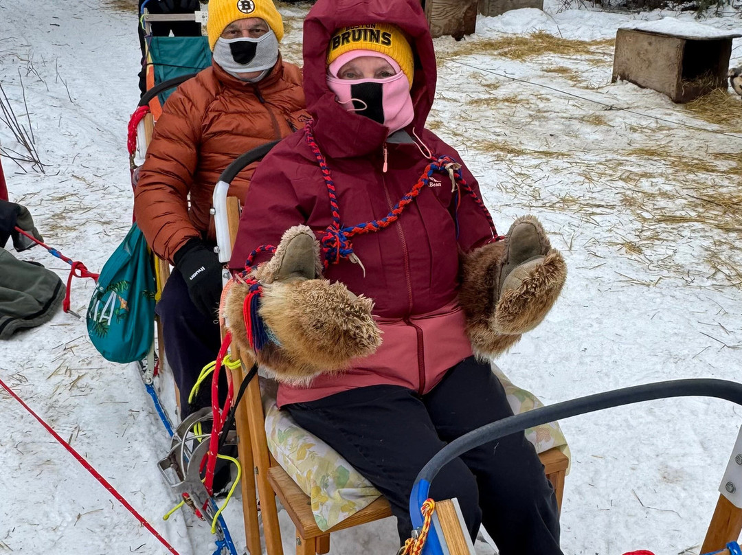 Cotter's Sled Dog Tours景点图片