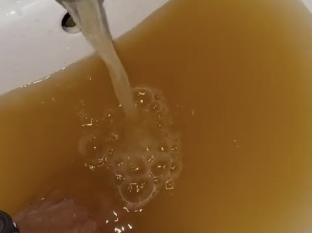 Dolphins Travel Bolivia Ecolodge-Rurrenabaque必去景点