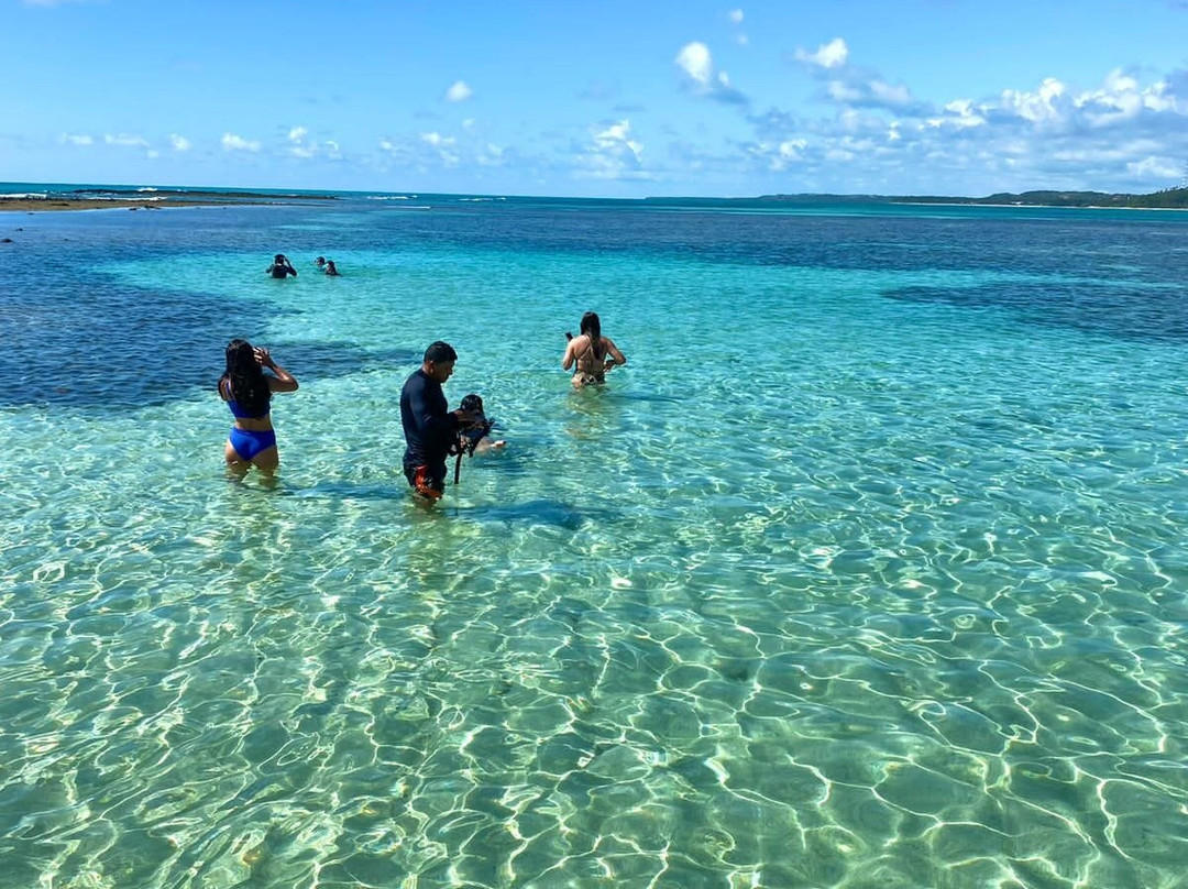 Milagres Receptivo-Sao Miguel dos Milagres必去景点