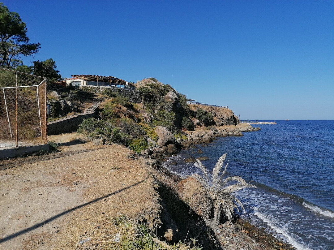 Anaxos Beach景点图片