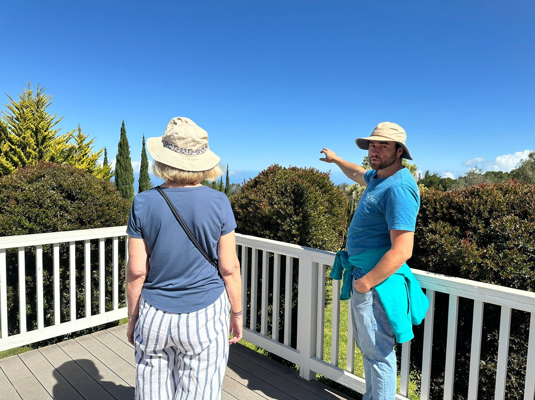 Maui Tea Farm-库拉必去景点