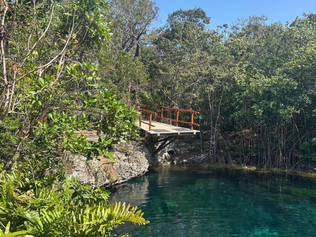 Tulum Private Tours景点图片