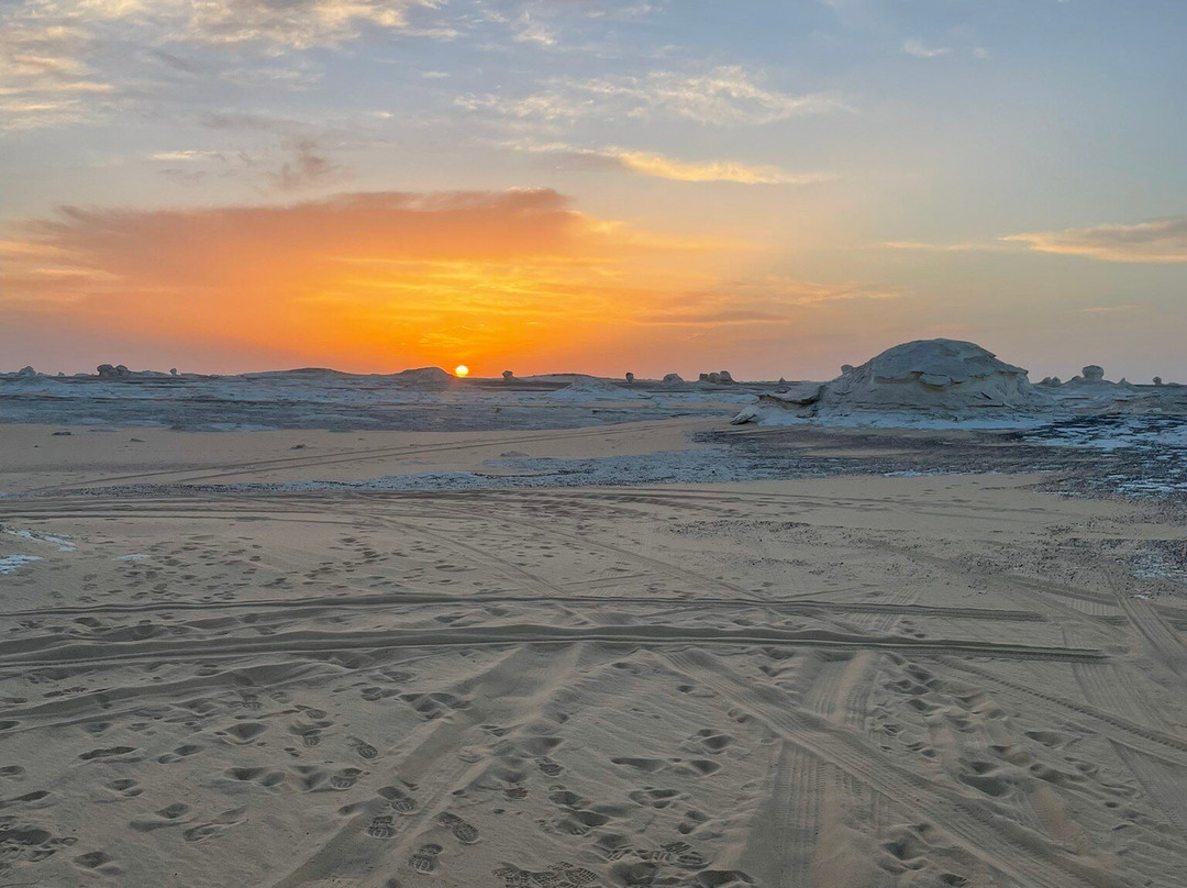 White Desert Safari景点图片