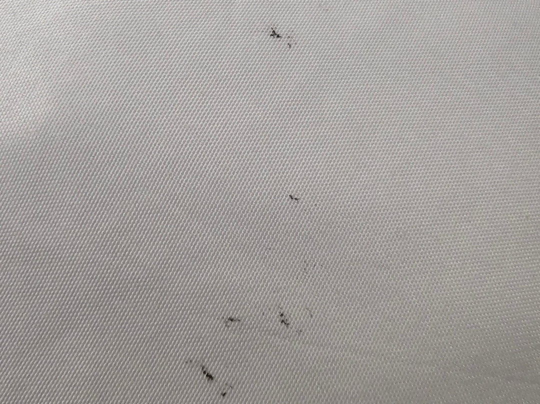 Days Inn by Wyndham Roanoke Near I-81主图