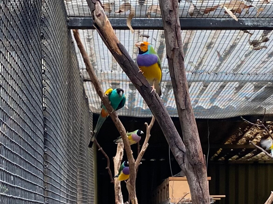 Featherdale Sydney Wildlife Park景点图片