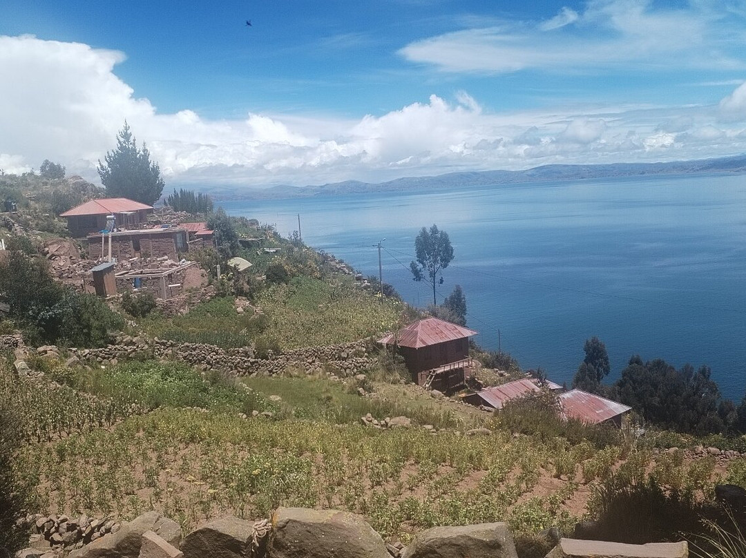 Kollasuyo Travel - One Day Tours-普诺大区必去景点