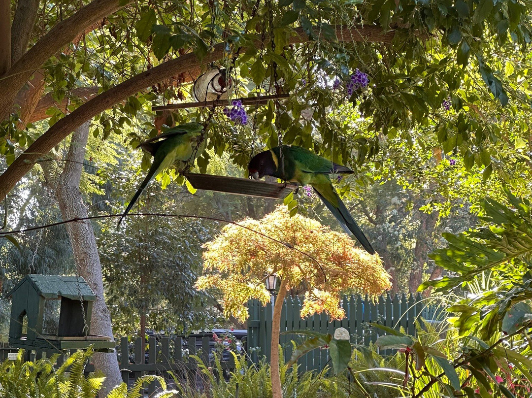 埃尔布利之家住宿加早餐酒店主图