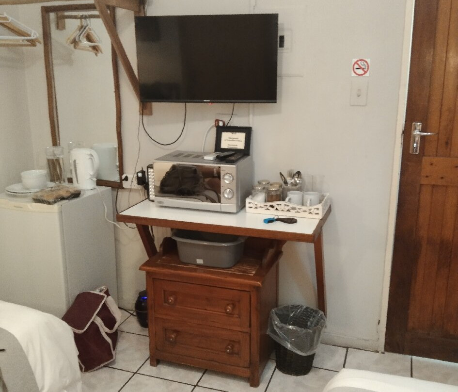 A Traveller's Palm主图