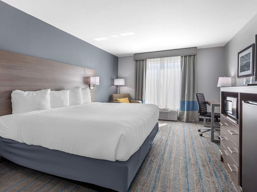 Dublin酒店住宿-斯蒂芬维尔快捷假日及套房酒店