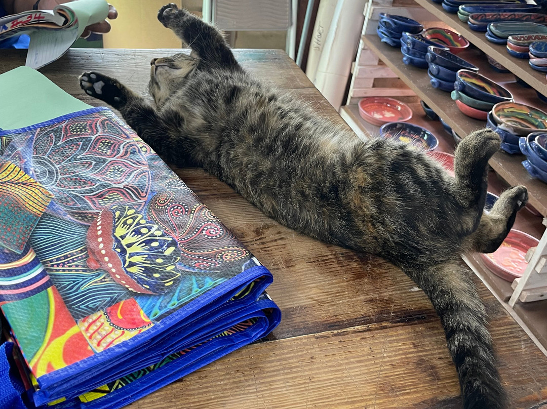 Earthworks Pottery-Saint Thomas Parish必去景点