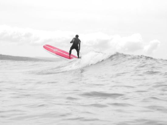 Pip Surf House主图