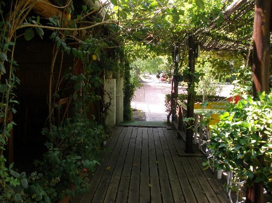 Hotel Playa Brava主图