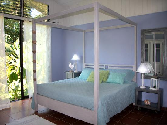 VIP Hotel Playa Negra主图