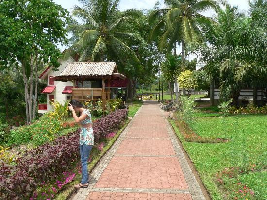 Ridgeview Chalets主图