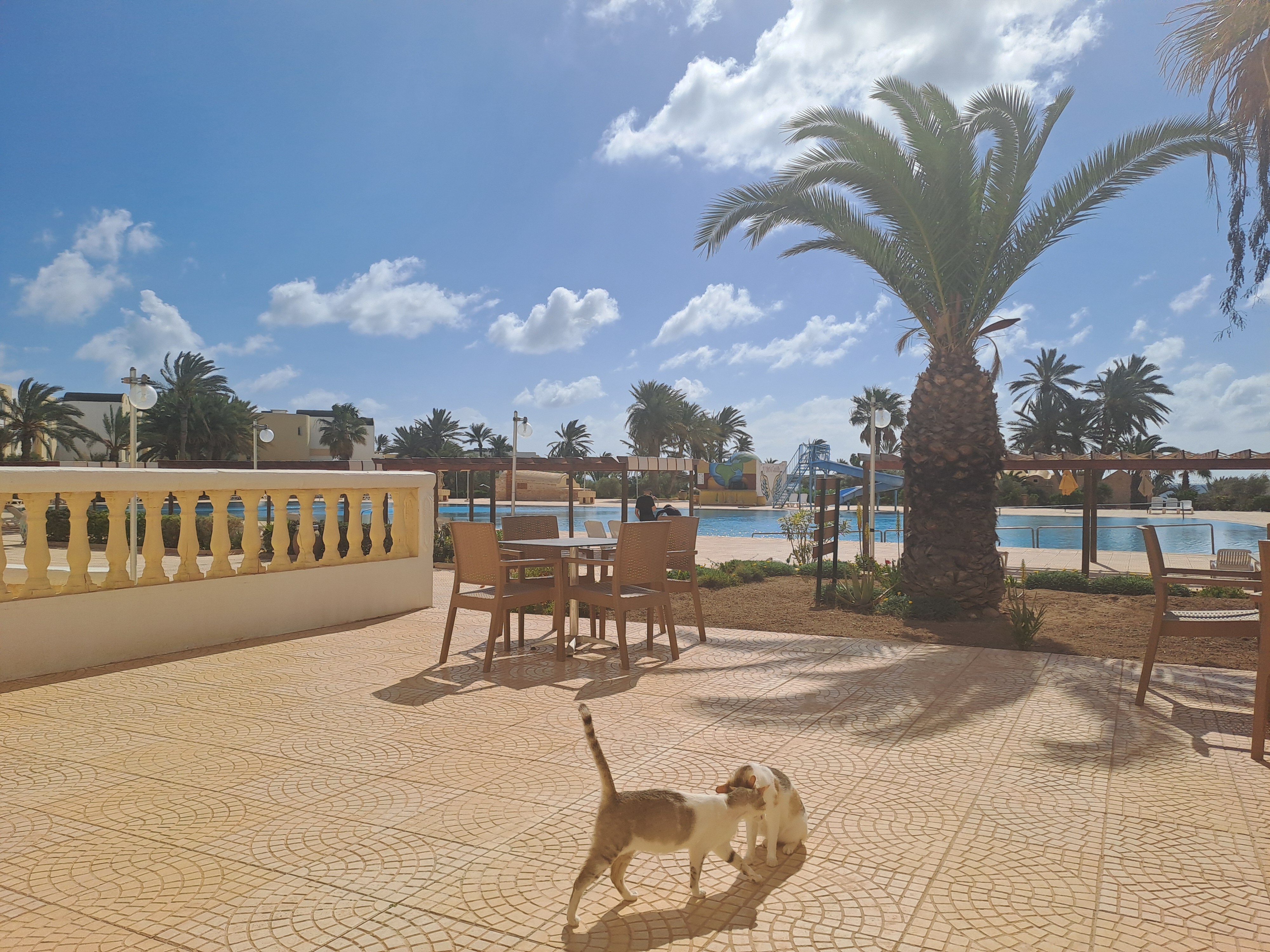 Hotel Djerba Castille-泳池