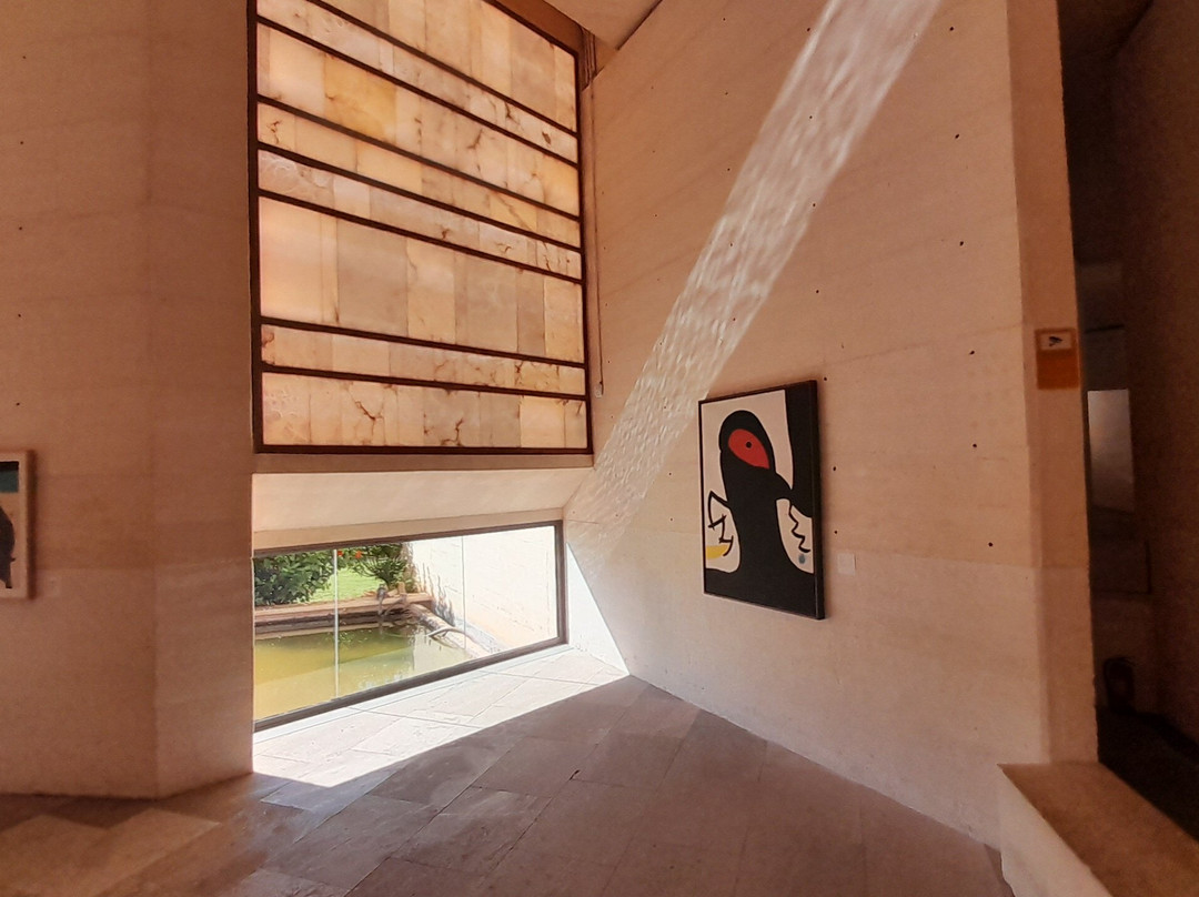 Museu Fundación Juan March Palma景点图片