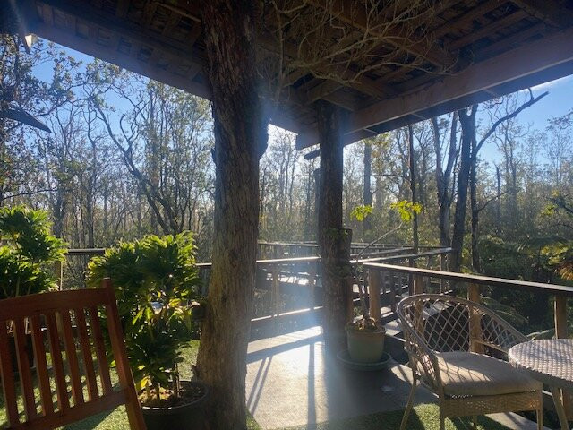 斯凯树屋酒店主图