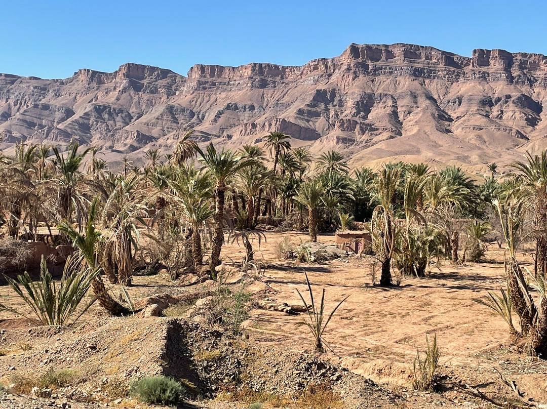 Sahara Soul Treks-扎古拉必去景点