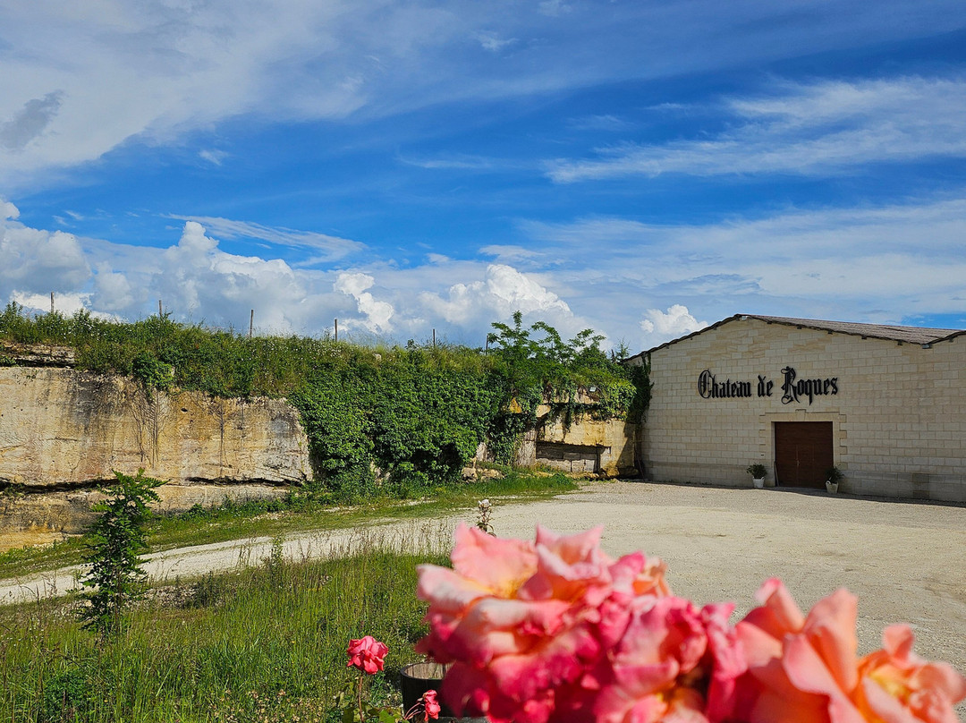 Château de Roques景点图片