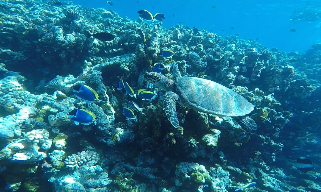 Euro-Divers Kagi-Kagi必去景点