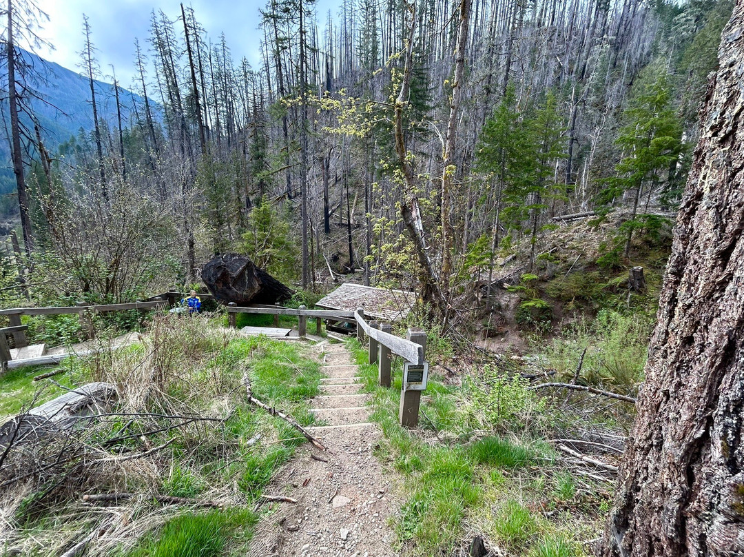 Terwilliger Hot Springs-Blue River必去景点