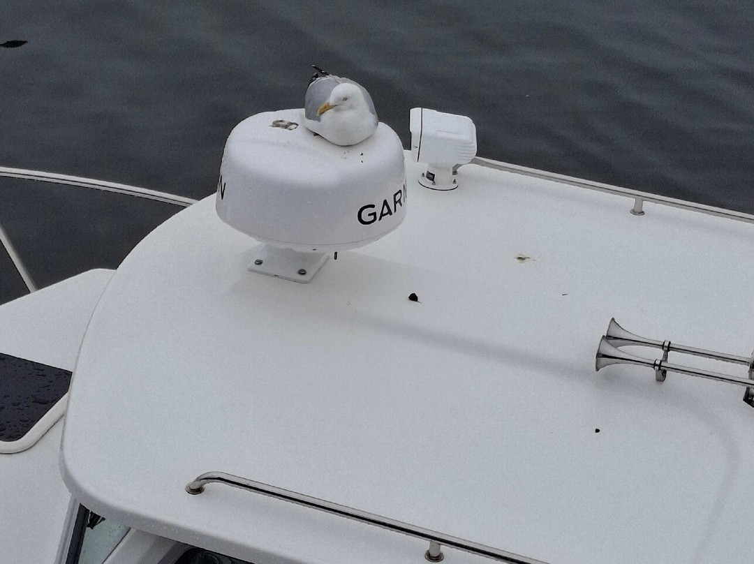 商业街-波特兰必去景点