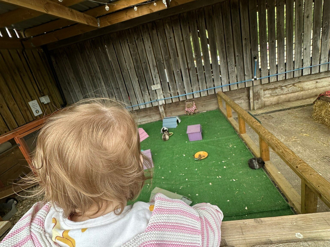 Bucklebury Farm Park-Bucklebury必去景点