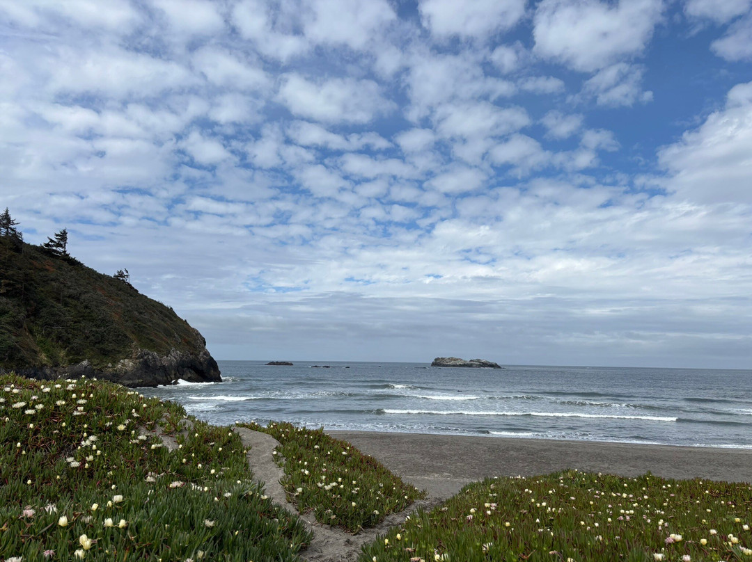 Trinidad State Beach景点图片