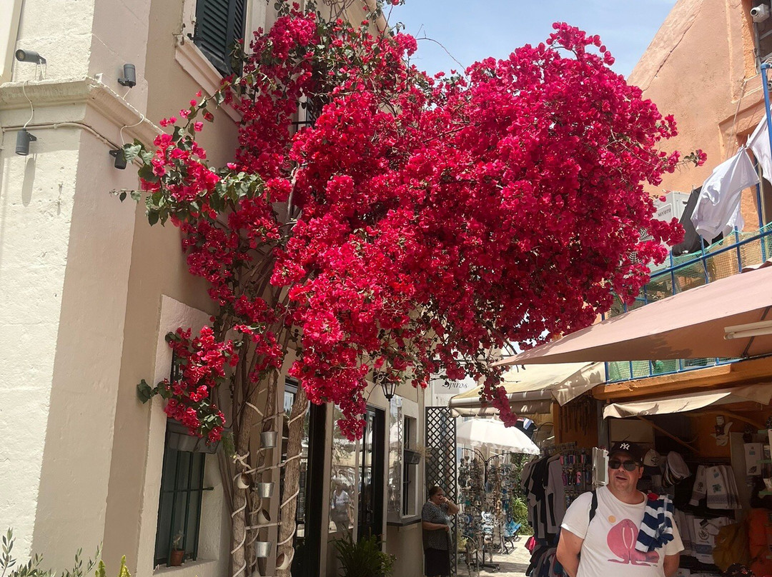 Kos Town, Greece.-Kos Town必去景点