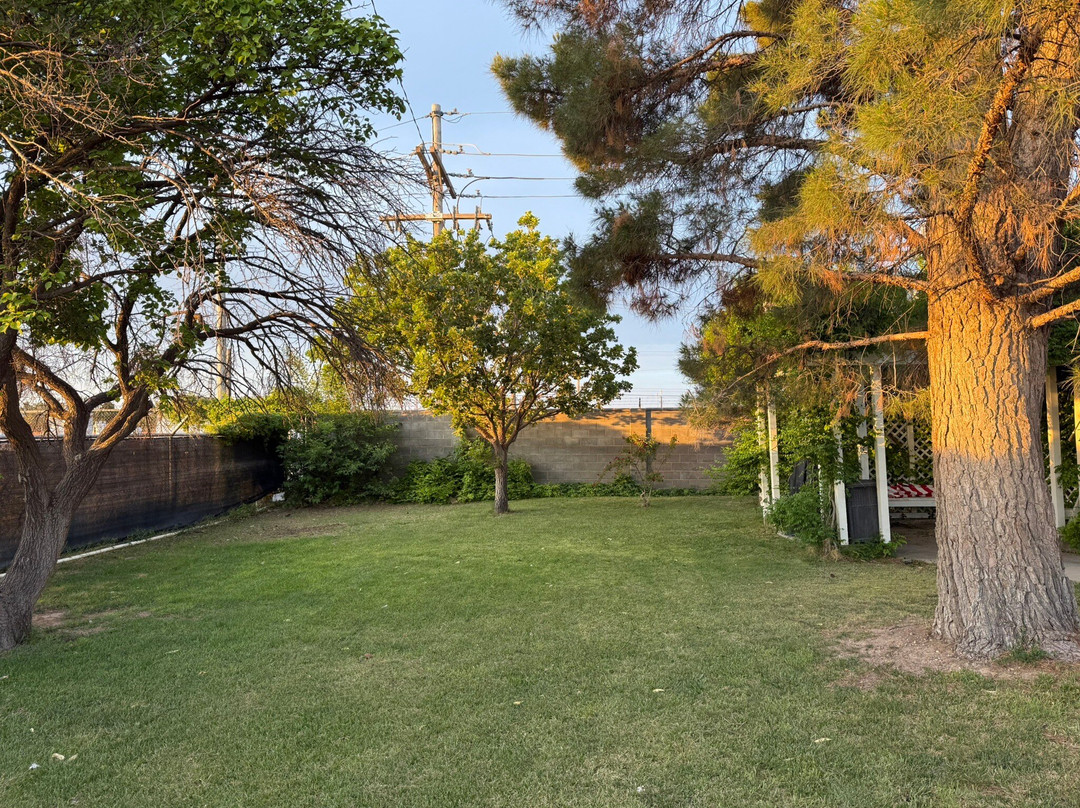 Adobe Rose Inn主图