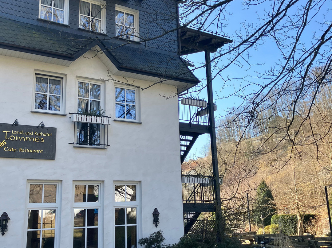 Land und Kurhotel Tommes主图