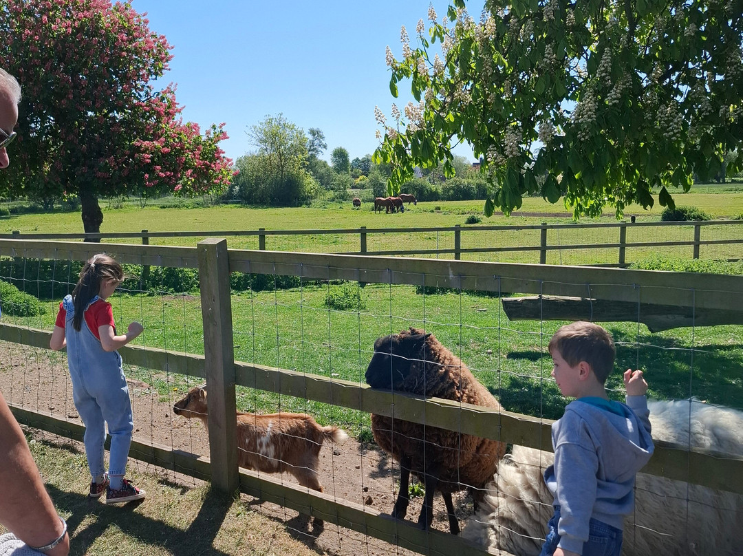Easton Farm Park景点图片