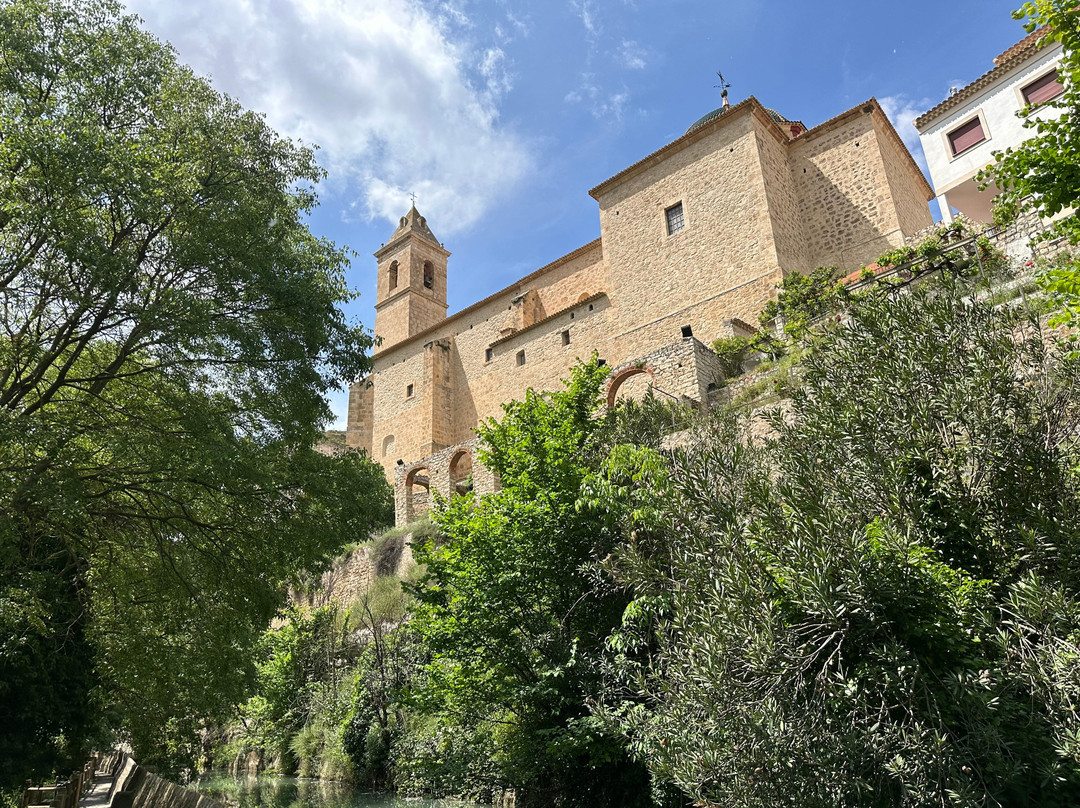 David's Coachtrips-托雷维耶哈必去景点