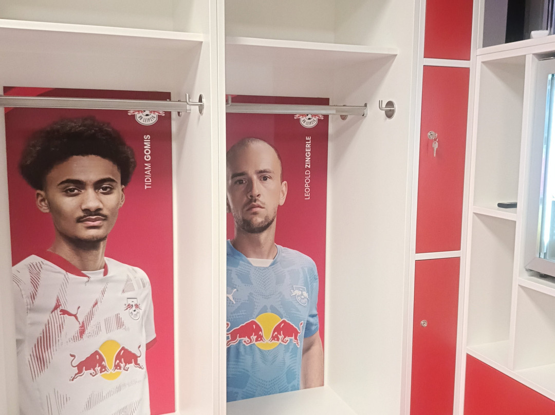Red Bull Arena-莱比锡必去景点