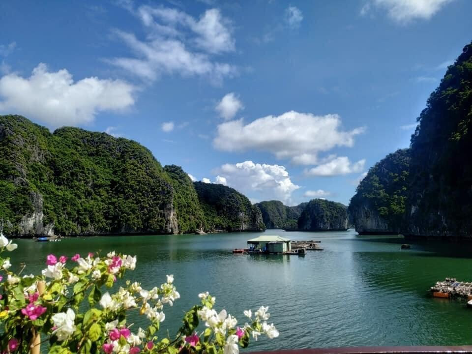 Blue Swimmer Outdoors景点图片