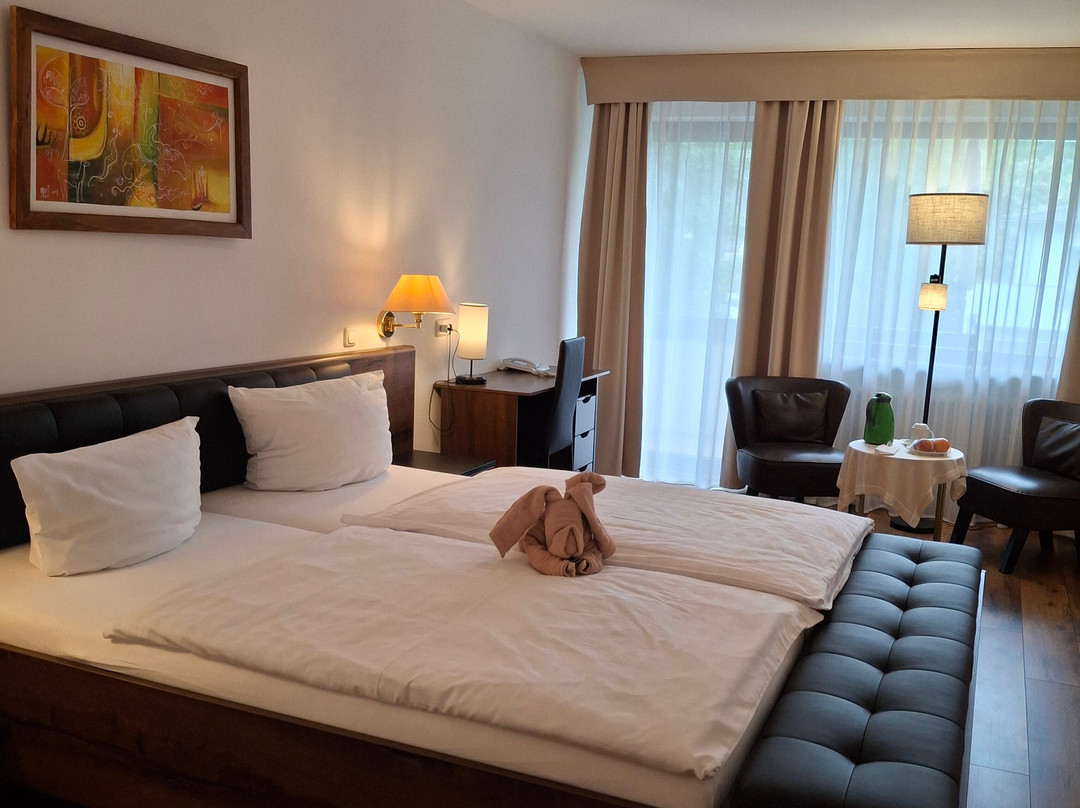 Sathya Ayurveda - Hotel Villa am Park主图