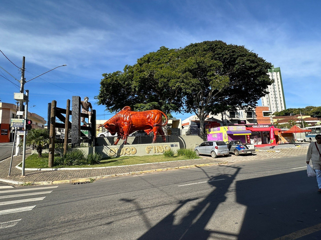 Monumento Boi Sem Coração-Ouro Fino必去景点