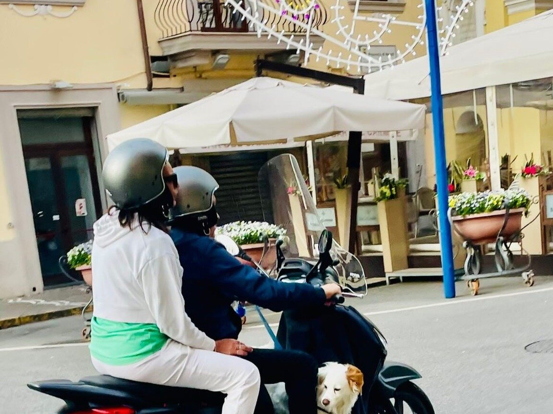 Sorrento House Travel-索伦托必去景点