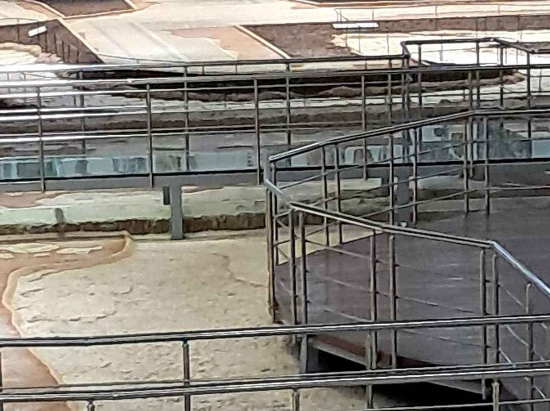 Sanliurfa Archeology and Mosaic Museum-Sanliurfa必去景点