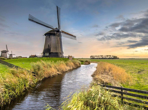 Best of The Netherlands tours
